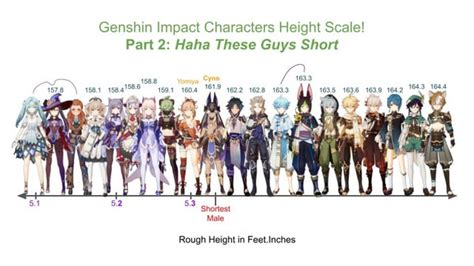 Every Genshin Impact character’s age & height